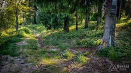 IMG_20170603_174421_HDR