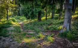 IMG_20170603_174421_HDR