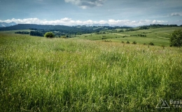 IMG_20170604_100402_HDR