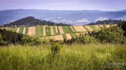 IMG_20170604_101656_HDR