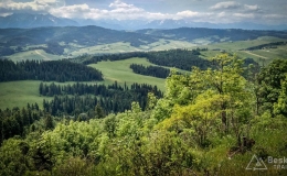 IMG_20170604_111102_HDR