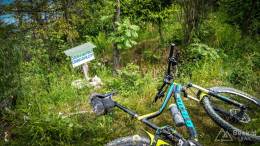 IMG_20170604_113150_HDR