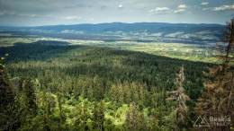 IMG_20170604_113211_HDR