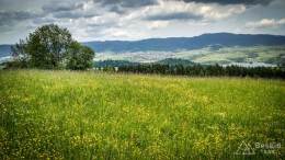 IMG_20170604_121549_HDR