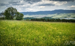 IMG_20170604_121549_HDR