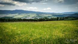 IMG_20170604_121552_HDR