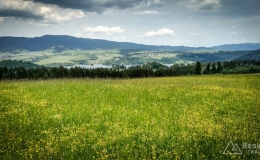 IMG_20170604_121552_HDR