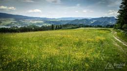 IMG_20170604_121557_HDR