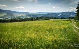 IMG_20170604_121557_HDR