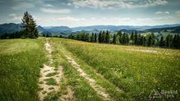 IMG_20170604_121720_HDR