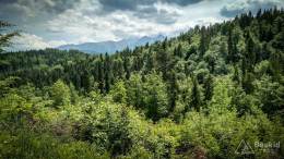 IMG_20170604_141523_HDR