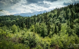 IMG_20170604_141523_HDR