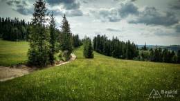 IMG_20170604_143540_HDR