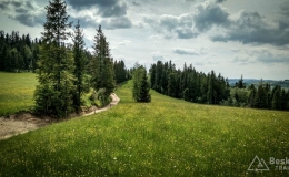 IMG_20170604_143540_HDR