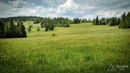 IMG_20170604_143712_HDR