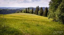 IMG_20170604_143934_HDR