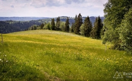 IMG_20170604_143934_HDR