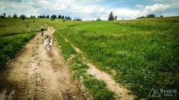 IMG_20170604_150241_HDR