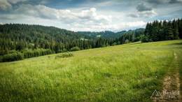 IMG_20170604_152422_HDR