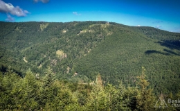 IMG_20170712_090600_HDR