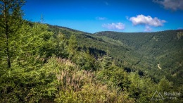 IMG_20170712_090605_HDR