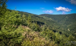 IMG_20170712_090605_HDR