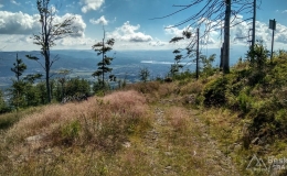 IMG_20170712_093340_HDR