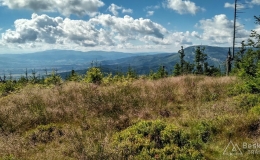 IMG_20170712_093631_HDR
