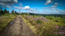 IMG_20170712_093805_HDR