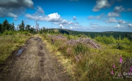 IMG_20170712_093805_HDR