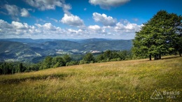 IMG_20170712_101919_HDR