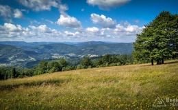 IMG_20170712_101919_HDR