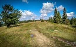 IMG_20170712_101924_HDR