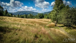 IMG_20170712_103446_HDR