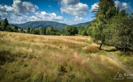 IMG_20170712_103446_HDR