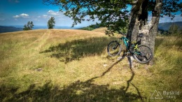 IMG_20170712_113531_HDR