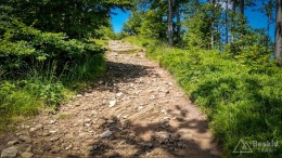 IMG_20170712_122431_HDR