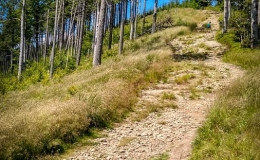 IMG_20170712_122618_HDR