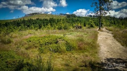 IMG_20170712_123104_HDR