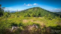 IMG_20170712_123120_HDR