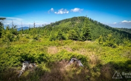 IMG_20170712_123120_HDR
