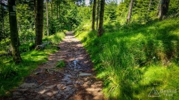 IMG_20170712_123733_HDR