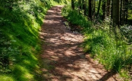 IMG_20170712_123735_HDR