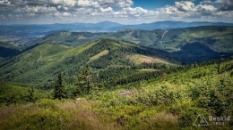 IMG_20170712_124731_HDR