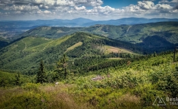 IMG_20170712_124731_HDR