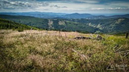 IMG_20170712_130337_HDR