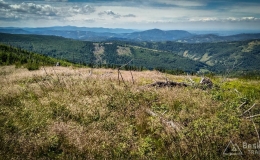 IMG_20170712_130337_HDR