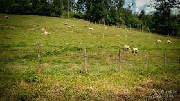 IMG_20170716_100206_HDR