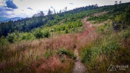 IMG_20170716_112510_HDR