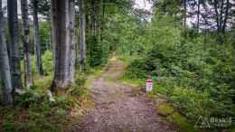 IMG_20170716_113137_HDR